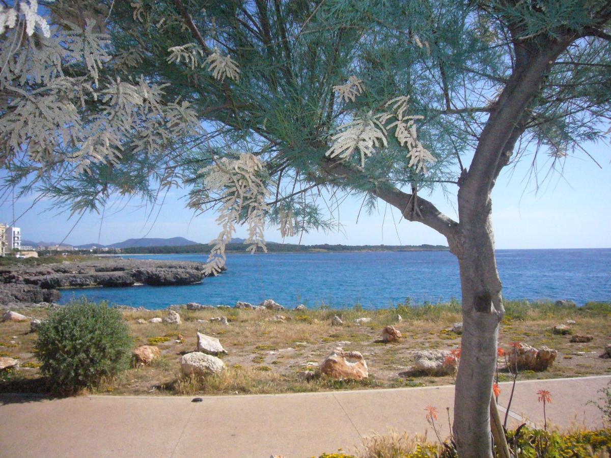 Holiday Home Randemar 西洛特 外观 照片